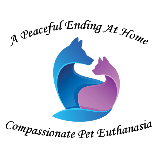 Feline IBD vs Intestinal Lymphoma A Peaceful Ending At Home